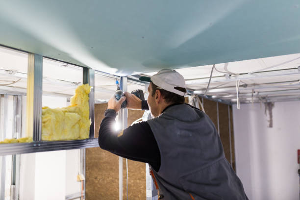 Best Eco-Friendly Insulation in Suncrest, WA