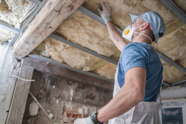 Best Cellulose Insulation in Suncrest, WA